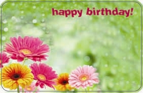 "Happy Birthday" : Green bckgrnd w/ gerberas (Pack of 50 enclosure cards)