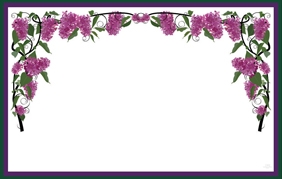 Lavendar wisteria (Pack of 50 enclosure cards)