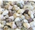 Assorted Seashell Mix (1 pound bag)