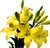 Yellow - Asiatic Lily - 60 Stems