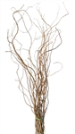 Curly Willow Branches, 5-6 feet tall (10 Bunches)