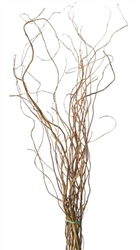 Curly Willow Branches, 4-5 feet tall (10 Bunches)