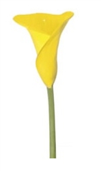 Conca D'or® Yellow Mini Calla Lily - 60 Stems