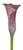 Pink Persuasion Burgundy Mini Calla Lily - 60 Stems