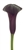 Schwarzwalder® Black Mini Calla Lily - 60 Stems