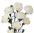 White - Mini Carnations - 160 stems