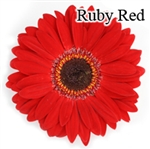 Ruby Red Gerbera Daisies - 72 Stems