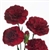 Burgundy - Standard Carnations - 175 stems