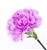 Lavender - Standard Carnations - 175 stems