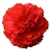 Red - Standard Carnations - 175 stems