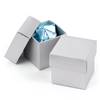 Silver Shimmer 2 piece Favor Boxes