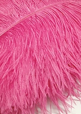 17-21" Ostrich Feathers - Hot Pink (1/2 Pound)