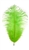 17-21" Ostrich Feathers - Dyed Lime Green (1/2 Pound)