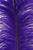 19-24" Ostrich Feathers - Purple (Pack of 12)