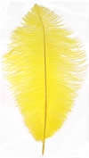 17-21" Ostrich Feathers - Yellow (1/2 Pound)