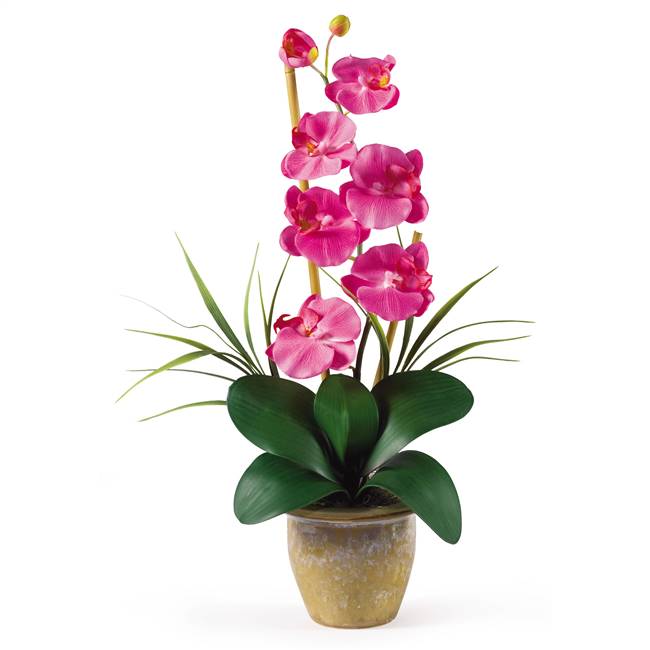 Single Stem Phalaenopsis Silk Orchid Arrangement