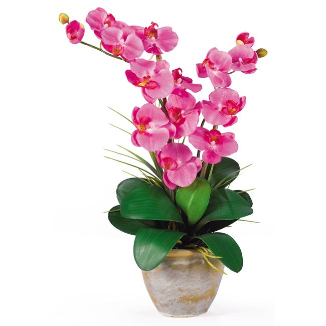 Double Stem Phalaenopsis Silk Orchid Arrangement