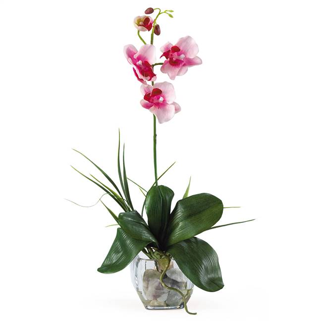 Mini Phalaenopsis Liquid Illusion Silk Orchid Arrangement