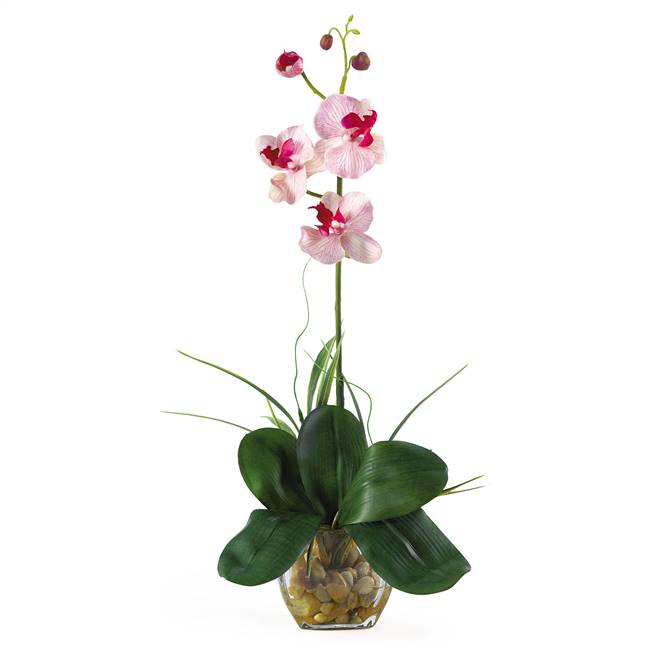 Mini Phalaenopsis Liquid Illusion Silk Orchid Arrangement