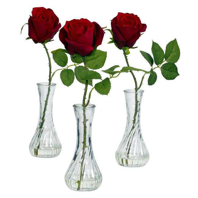 Rose w/Bud Vase (Set of 3)