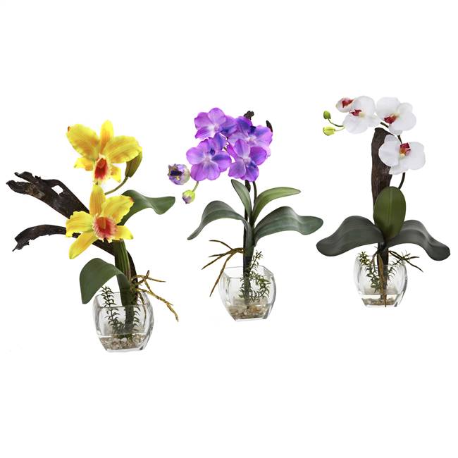 Mixed Orchid w/Cube Arrangements (Set of 3)