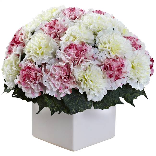 Carnation Arrangement w/Vase