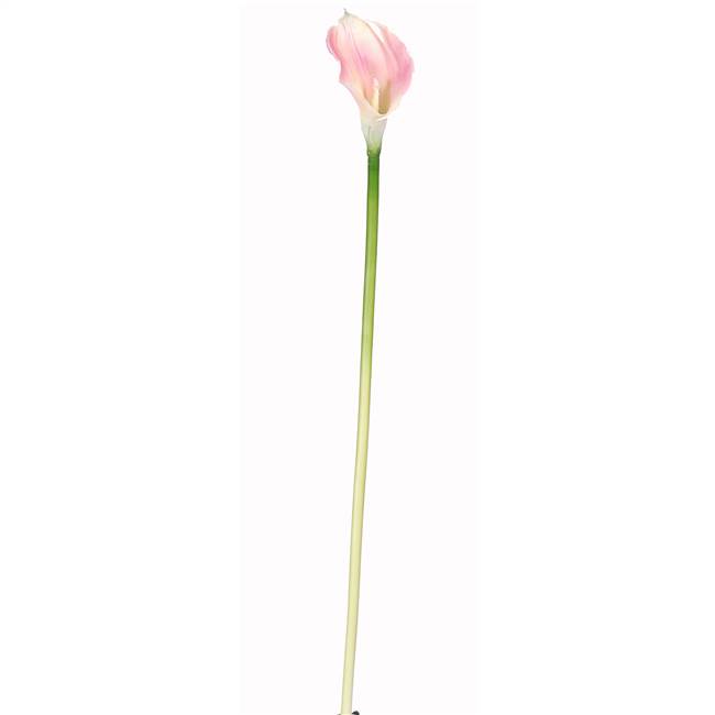 Calla Lilly Silk Flower (12 Stems)