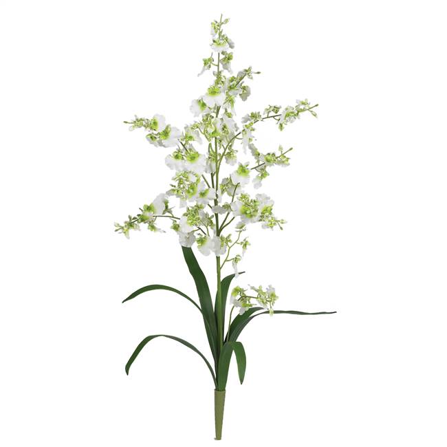 Dancing Lady Silk Orchid Flower (6 Stems)