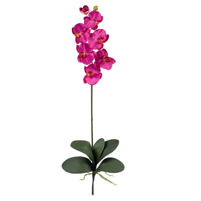 Phalaenopsis Silk Orchid Flower w/Leaves (6 Stems)