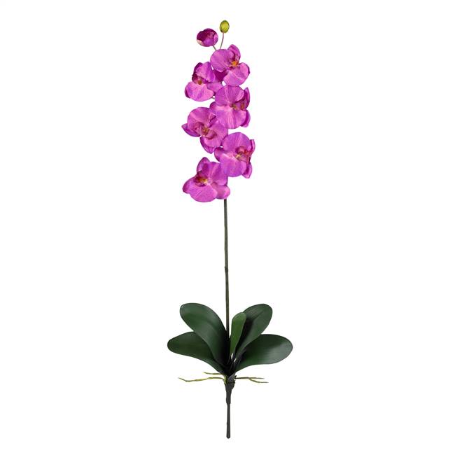 Phalaenopsis Silk Orchid Flower w/Leaves (6 Stems)