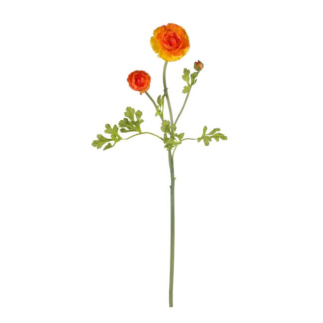 23" Ranunculus Stem (Set of 12)