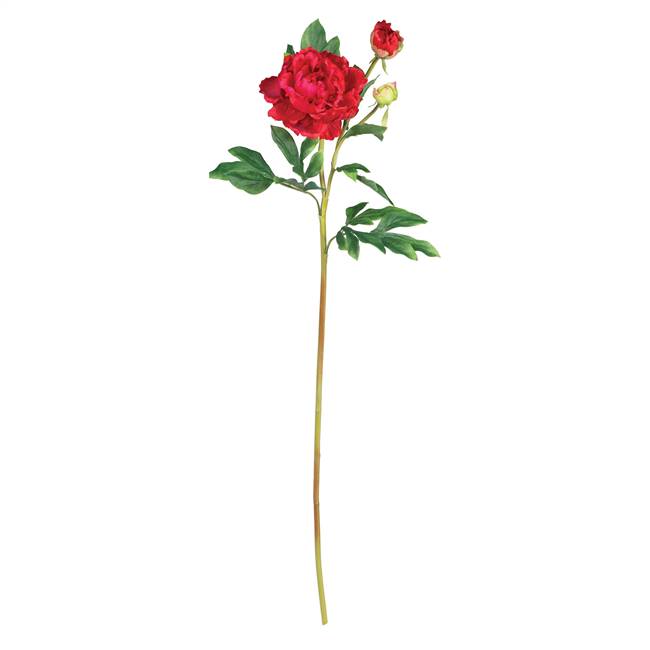 38.5" Peony w/Leaves Stem (Set of 12)