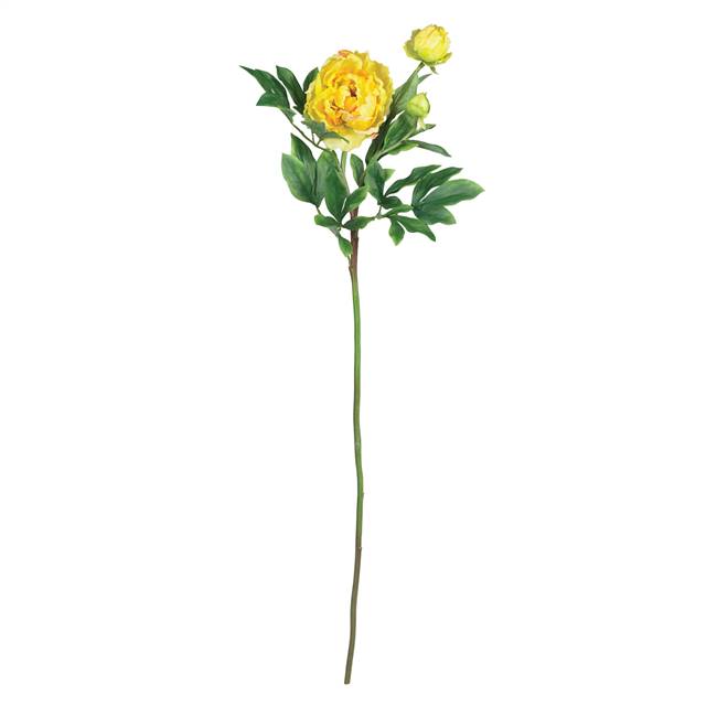 38.5" Peony w/Leaves Stem (Set of 12)