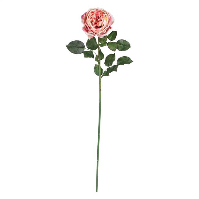 31" Large Rose Stem (Set of 12)