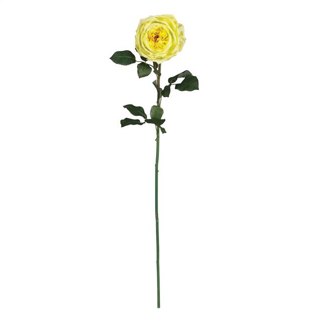 31" Large Rose Stem (Set of 12)