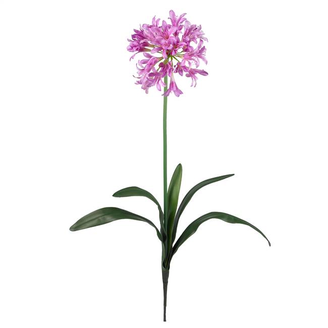 29" African Lily Stem (Set of 12)