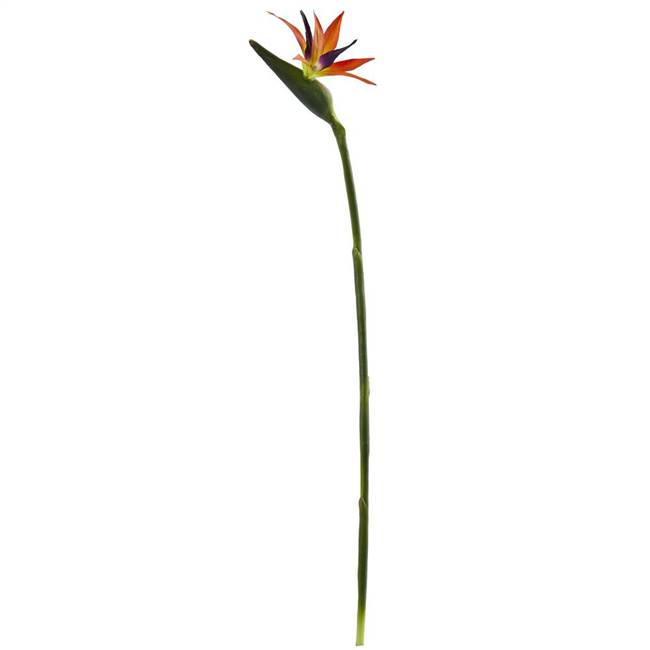 35’’ Bird of Paradise Artificial Flower (Set of 4)