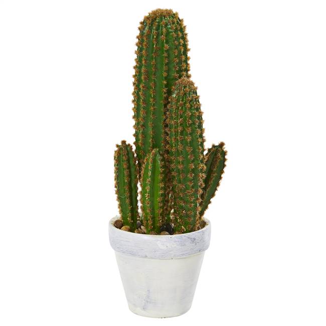 1.5’ Cactus Succulent Artificial Plant