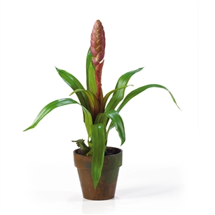 Potted Single Sword Bromeliad Silk Flower Arrangement