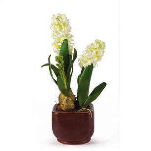 Hyacinth w/Glazed Pot Silk Flower Arrangement