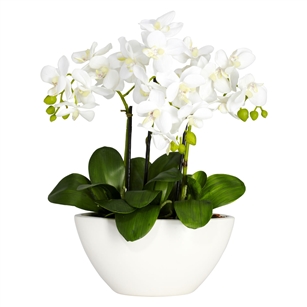 Phalaenopsis Silk Flower Arrangement