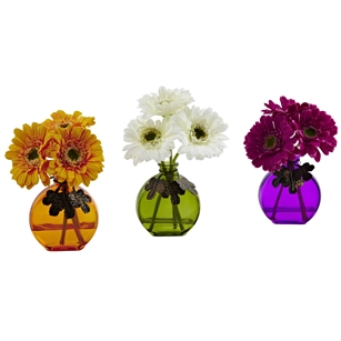 Gerber Daisy w/Colored Vase (Set of 3)