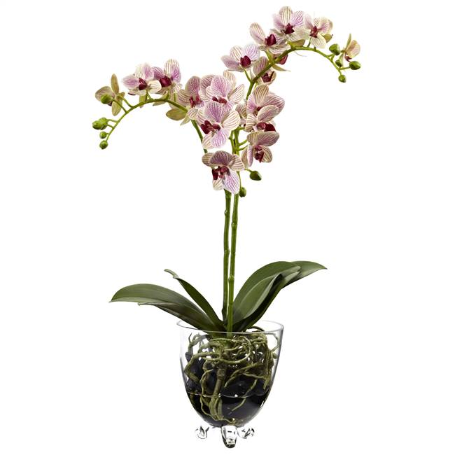 Raspberry Orchid Elegance Arrangement