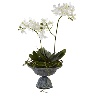 Mini Dendrobium w/Metal Vase