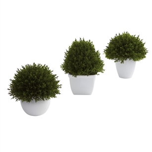 Mixed Cedar Topiary Collection (Set of 3)