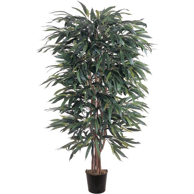 5' Weeping Ficus Silk Tree