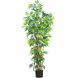 6'  Fancy Style Bamboo Silk Tree