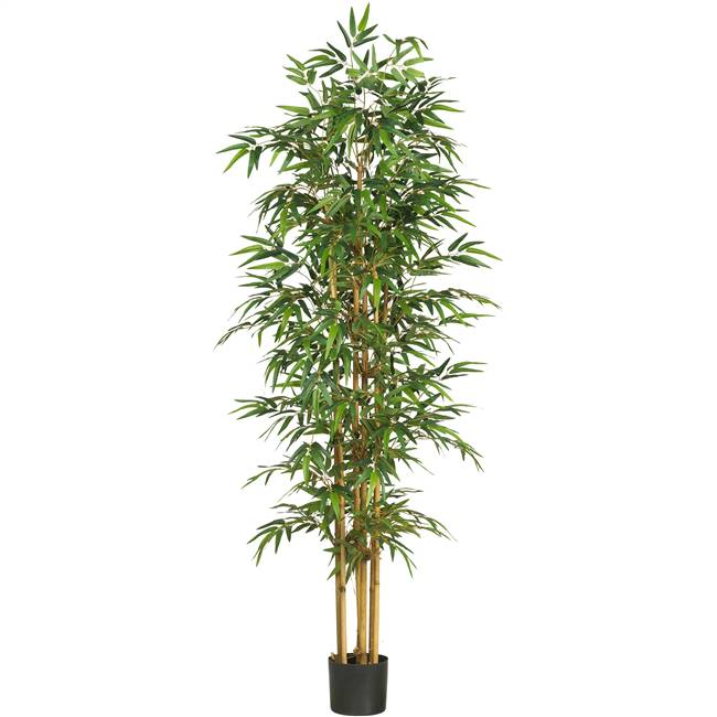 75" Bamboo Silk Tree