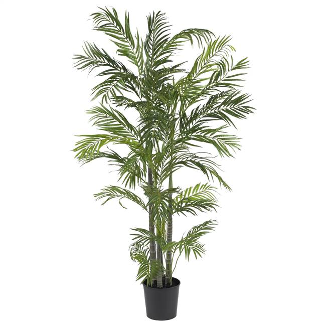 5' Areca Silk Palm Tree