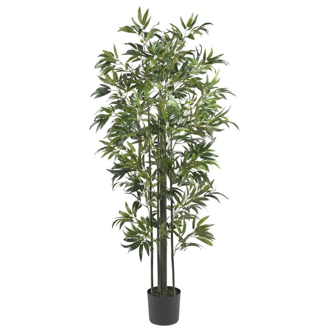 6' Bamboo Silk Tree (Green Trunks)